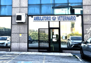 Ambulatorio Veterinario Vicenza 2 hover