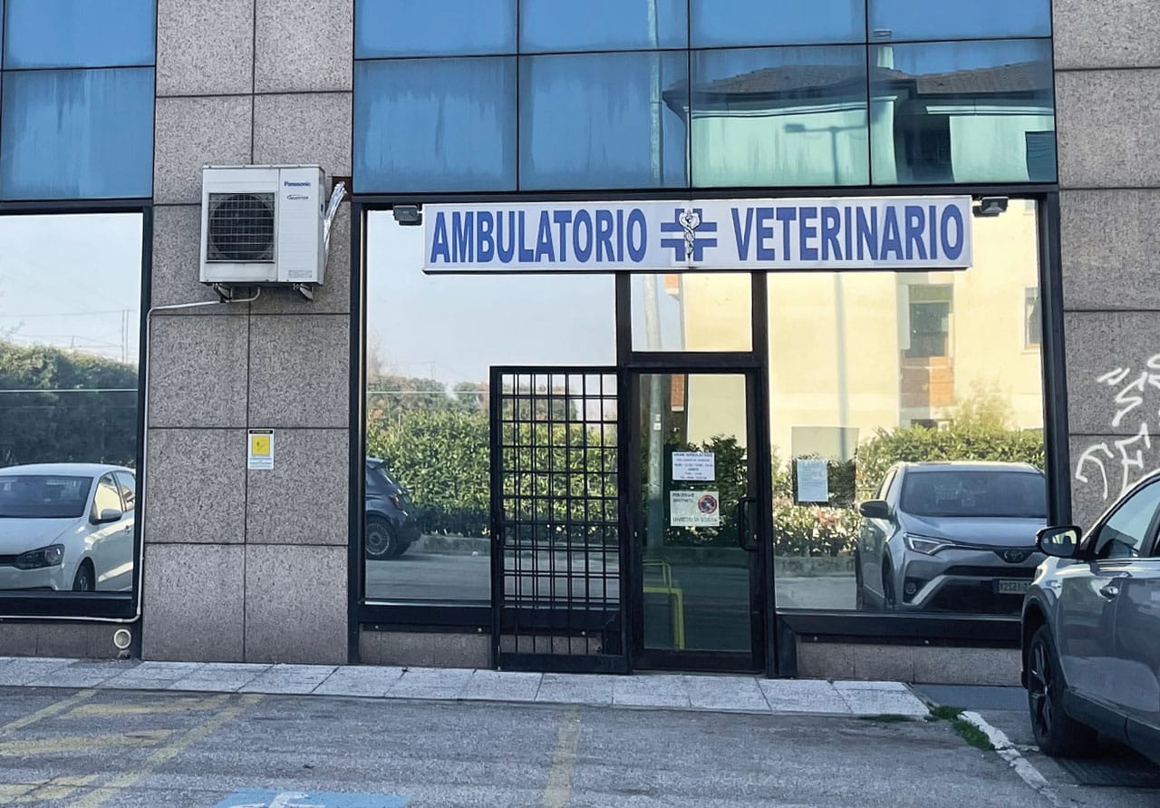 Veterinario Vicenza – Home